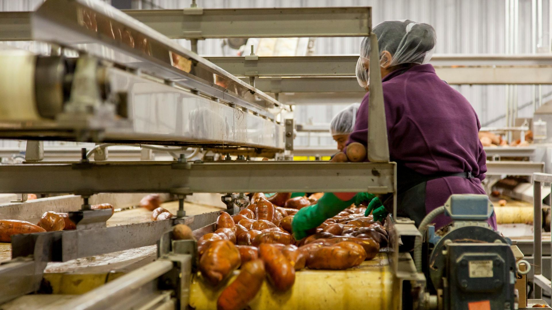 Agro-processing: Farmer’s guide to turning crops into cash