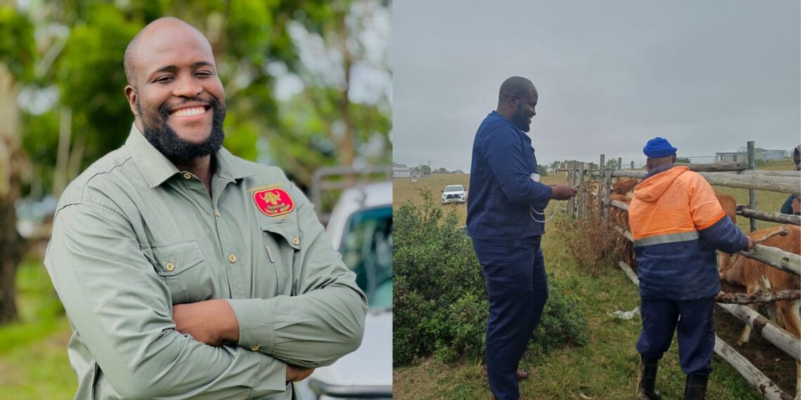 Veterinary technicians are the unsung heroes of our economy. Sihle Mntunje is one of them. Working across the Buffalo City Municipality, he ensures meat safety and helps rural farmers thrive. Photos: Supplied/ Food For Mzansi