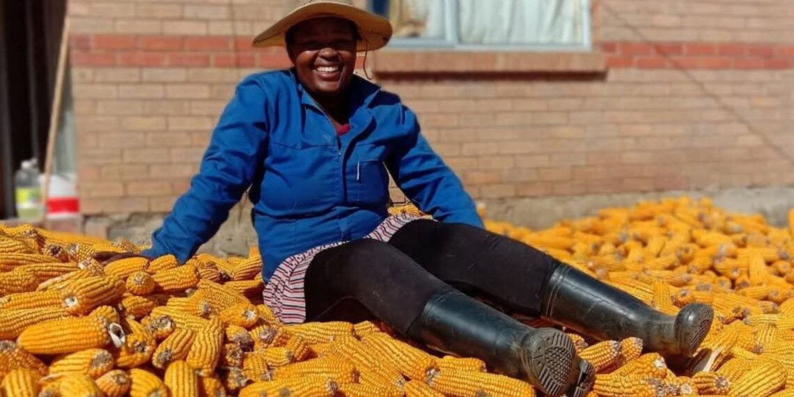 Athizintle Nkaqa had to reduce the quantity of maize and beans she planted to limit post-harvest losses from insects. Photo: Supplied/Food For Mzansi