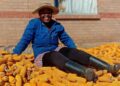 Athizintle Nkaqa had to reduce the quantity of maize and beans she planted to limit post-harvest losses from insects. Photo: Supplied/Food For Mzansi