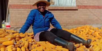 Athizintle Nkaqa had to reduce the quantity of maize and beans she planted to limit post-harvest losses from insects. Photo: Supplied/Food For Mzansi