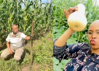 High seas to harvest: Nonjabulo navigates new path in Ndwedwe