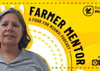 Pomegranate pioneer: Debbie Theunissen’s rise in fruit farming