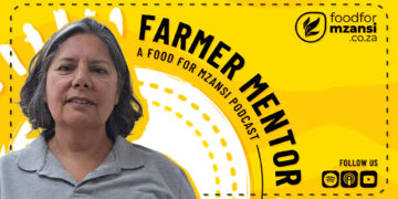 Debbie Theunissen transformed Bovenvlei Farm into a successful pomegranate export business through careful planning, technology, water management, and the support of her husband and co-director. Photo: Gareth Davies/Food For Mzansi