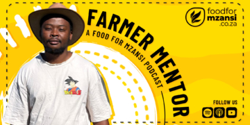 Free State farmer Vincent Masiu is building a resilient, diversified family farm with crops, livestock, and future enterprises, inspiring youth and demonstrating the power of confidence, collaboration, and proper management. Photo: Gareth Davies/ Food For Mzansi