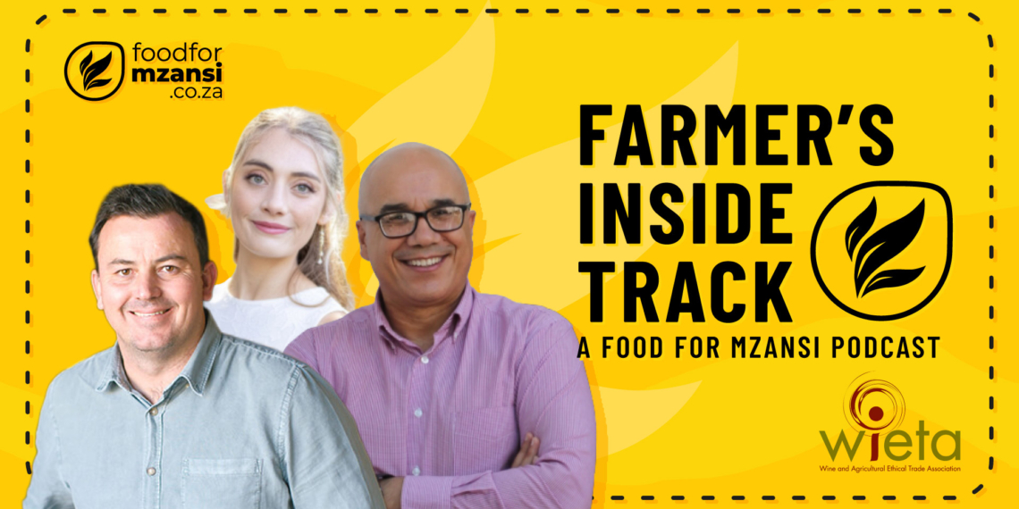 Mila Pretorius, Wieta’s sustainability officer; Adrian Bezuidenhout, senior advisor for audit assurance at Wieta; and RJ Botha, cellar master at Kleine Zalze Wines, discuss how the Wine and Agricultural Ethical Trade Association (Wieta) Fair Labour Seal operates. Photo: Gareth Davies/Food For Mzansi