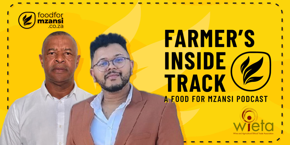 Abraham Daniels, labour coordinator, and Christone Hornsby, programmes manager at Wieta, explain how Wieta unites unions and brands to provide payslip breakdowns and safety training during the busy harvest season. Photo: Gareth Davies/ Food For Mzansi