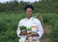 Gqeberha agripreneur turns backyard into thriving medicinal hub
