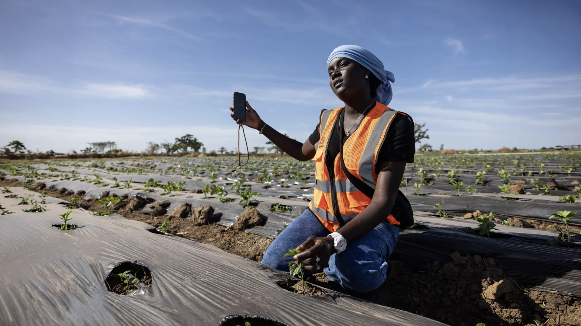 Rise of the agri-influencer: Scaling profits through social media