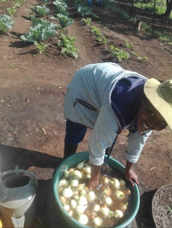 Modise with her very first harvests, marking the start of Unlimited Agri's journey that now thrives with both crops and livestock. Photo: Supplied/ Food For Mzansi.