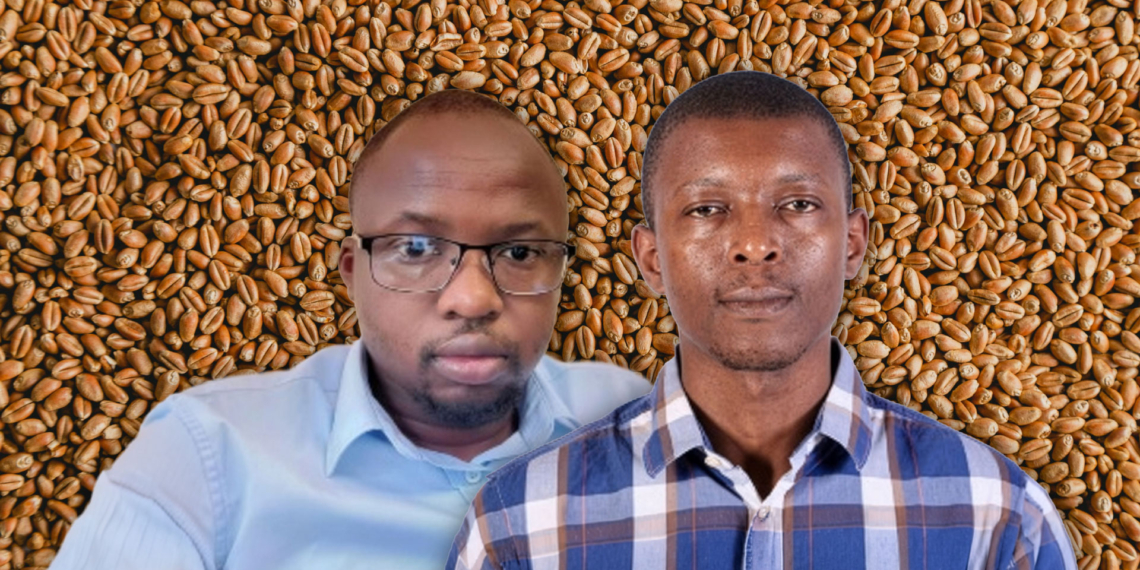 Dr Matelele Lehlogonolo and Fakude Sithembiso from the department of agriculture’s National Plant Genetic Resources Centre. Photo: Gareth Davies/Food For Mzansi