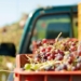 SA fruit exporters urged to innovate amid shifting global trade