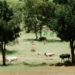 Sustainable farming: How to balance soil health and income