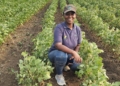 Reviving legacy: Former retail worker trades till for the soil