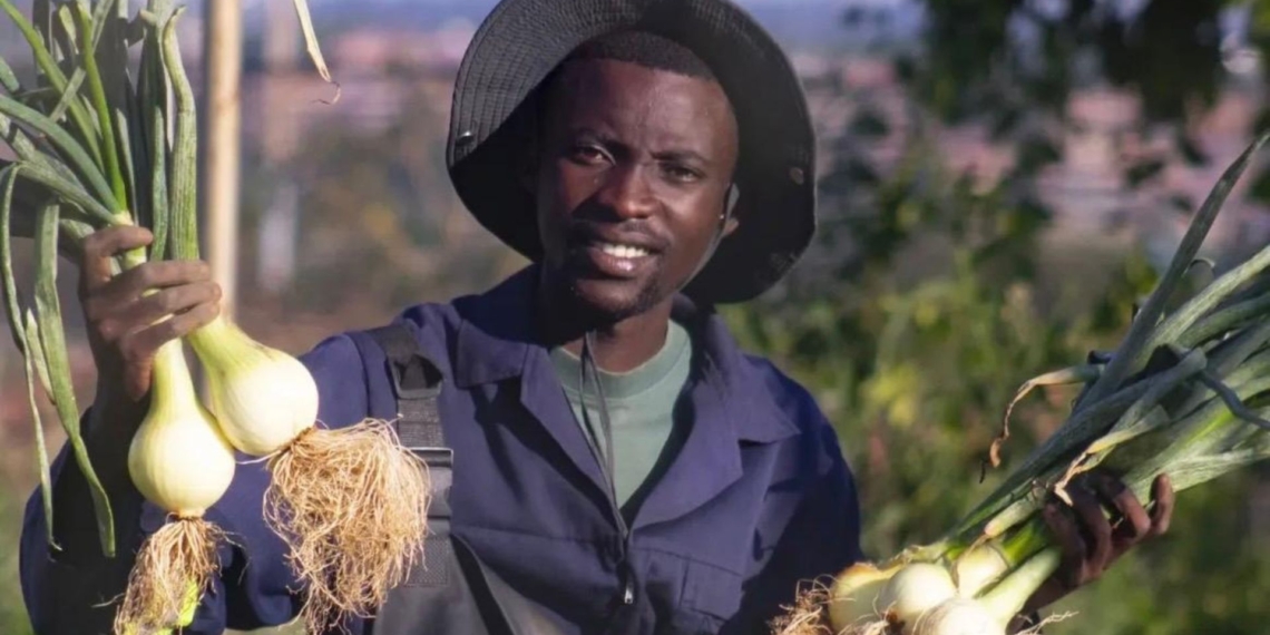 Soweto farmer Tebogo Makgatho is transforming public spaces into productive gardens through Agrolimo Farms, proving that urban agriculture can create jobs, feed communities, and inspire youth across South Africa. Photo: Supplied/Food For Mzansi
