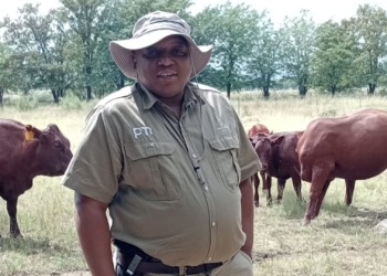 Big dreams on his ‘Tiny Farm’: Setjhaba’s 300-hectare success