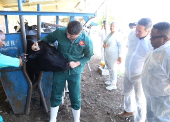 Minister debunks rumours, confirms free FMD vaccines