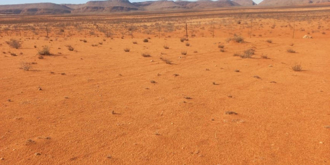 Pofadder in the Northern Cape is one of the hardest hit areas by the heatwave. Photo: Supplied/Food For Mzansi