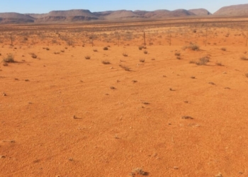 Cape heatwave havoc: Farmers battle extreme temperatures