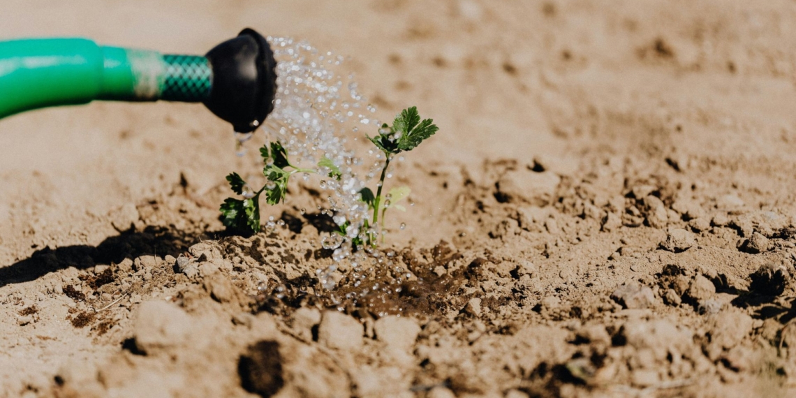 Research in KwaZulu-Natal reveals how broken irrigation infrastructure has halted farming at a women-led cooperative in the Makhathini Irrigation Scheme, exposing the challenges smallholder farmers face despite policies promoting women’s empowerment in agriculture. Photo: Pexels