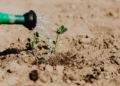 No water, no farming: Broken pipes halt KZN women farmers