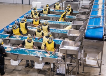 Macadamia growers eye better returns as tariffs ease