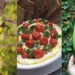 Spekboom recipe: The ‘wonder plant’ your kitchen needs