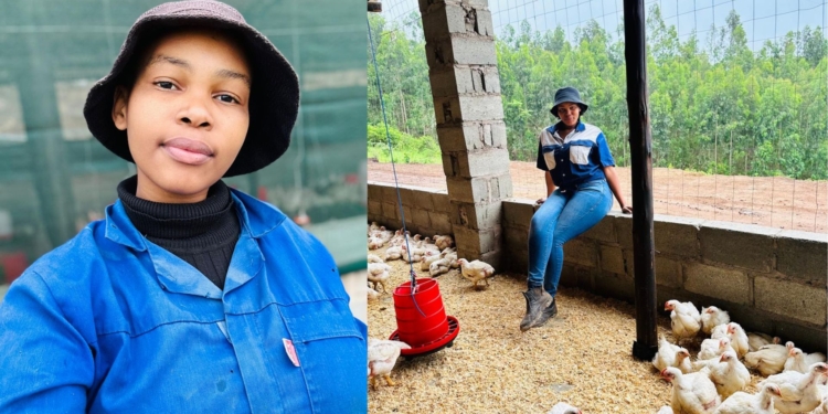 KwaZulu-Natal farmer Bongeka Vilakazi turned childhood lessons from her grandfather into a thriving poultry business. Starting with 100 broilers and R30 000 in savings, the founder of Asandanathi Poultry Farm now supplies thousands of chickens to her community. Photos: Supplied/Food For Mzansi
