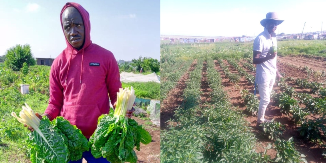 Bongani Nkosi says his agricultural knowledge was shaped by the Ermelo community that raised him. Photos: Supplied/Food For Mzansi