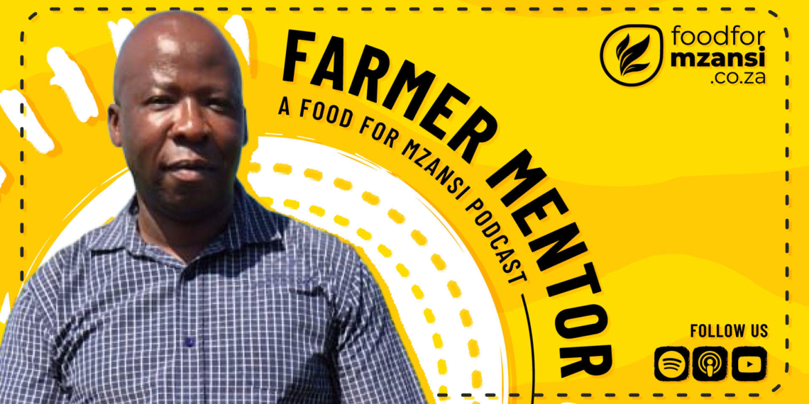 From hand-built irrigation furrows in the Eastern Cape to leading a diversified commercial enterprise, award-winning farmer Meshack Ndongeni shares how discipline, sound financial management, precision investment and a commitment to mentorship have shaped his journey from small-scale beginnings to building a sustainable farming legacy. Photo: Food For Mzansi/Gareth Davies
