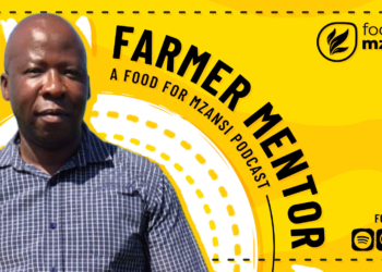 Discipline and dirt define Meshack Ndongeni’s farming success
