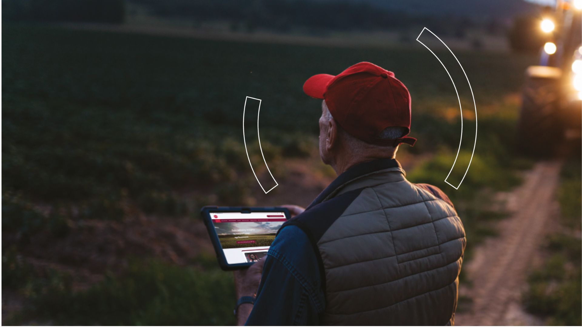 Livestock prices remain high as disease and supply shocks reshape the market