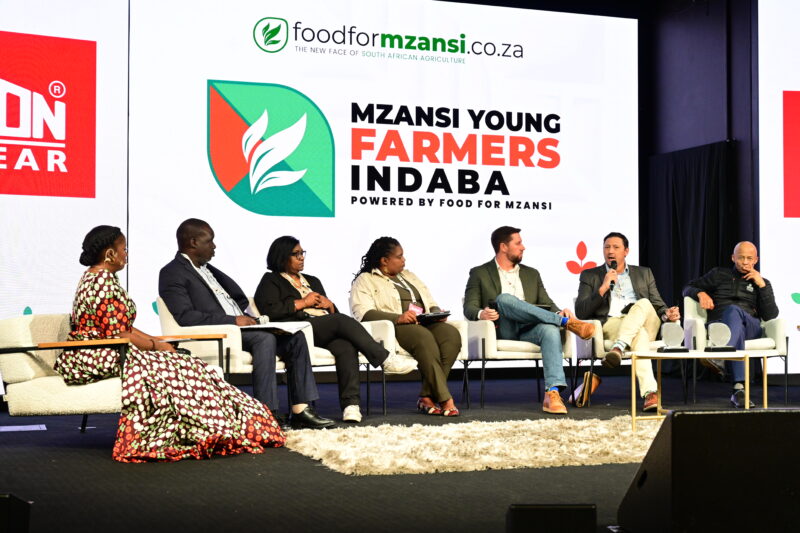 Agri leaders urge farmers to think beyond production - Food For Mzansi