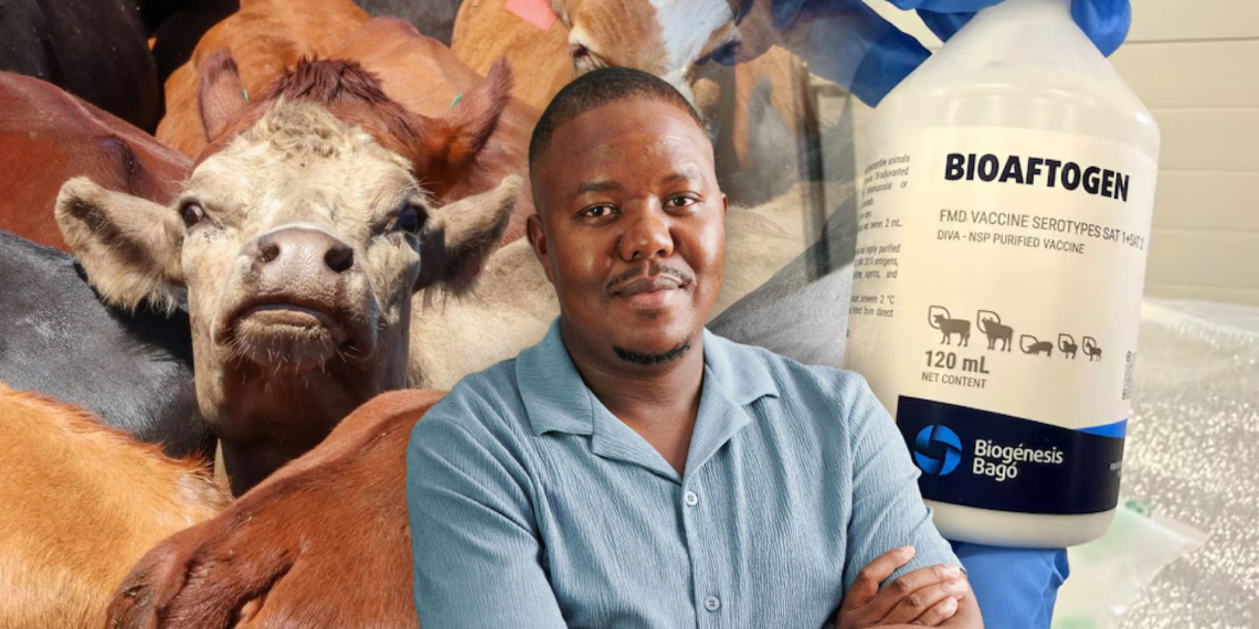 Sibongiseni Peacock, an innovation manager at the DG Murray Trust, explores key strategies to build smallholder resilience against agricultural crises, such as foot-and-mouth disease. Photo: Gareth Davies/Food For Mzansi