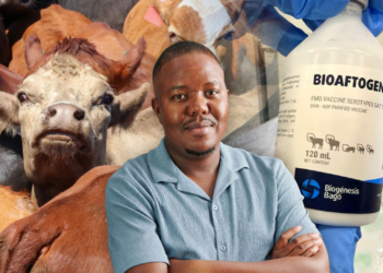 Beyond vaccines: Four ways to build smallholder farmer resilience