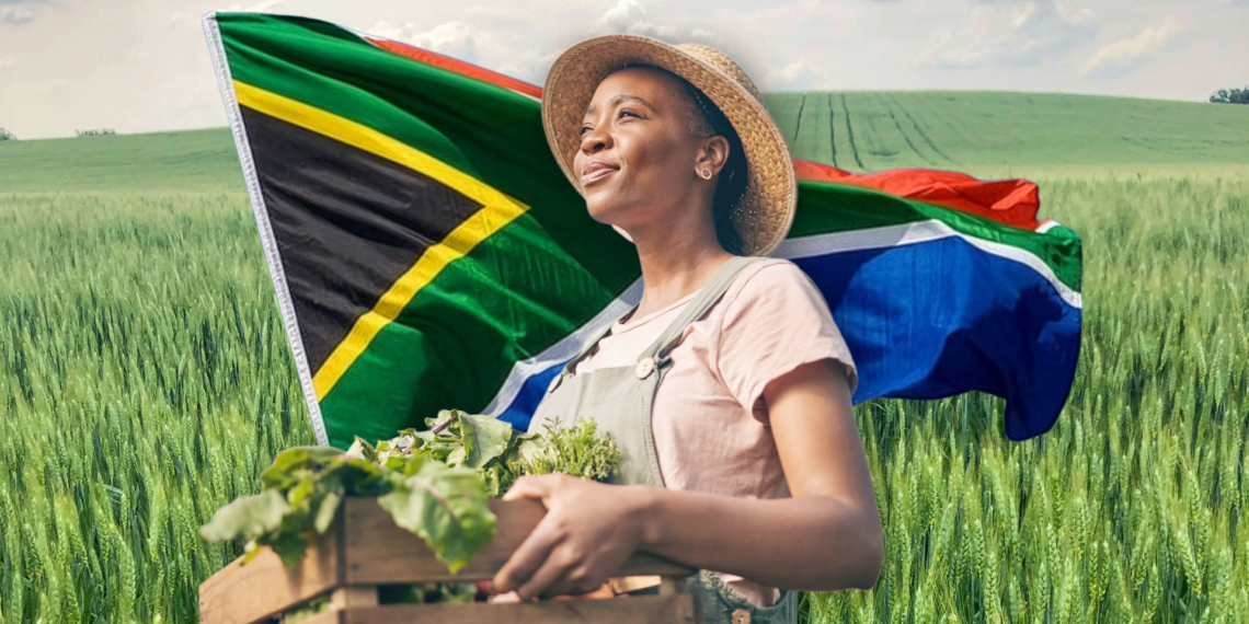 As the country celebrates Freedom Day, women in agriculture say land ownership, finance, markets and leadership opportunities remain key barriers to true empowerment. Photo: Gareth Davies/Food For Mzansi