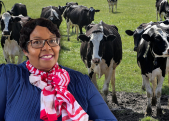 On the frontline: Why veterinarians are critical infrastructure