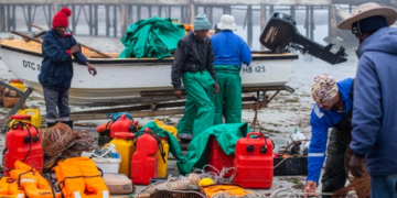 Quota errors leave small-scale fishers fighting for survival