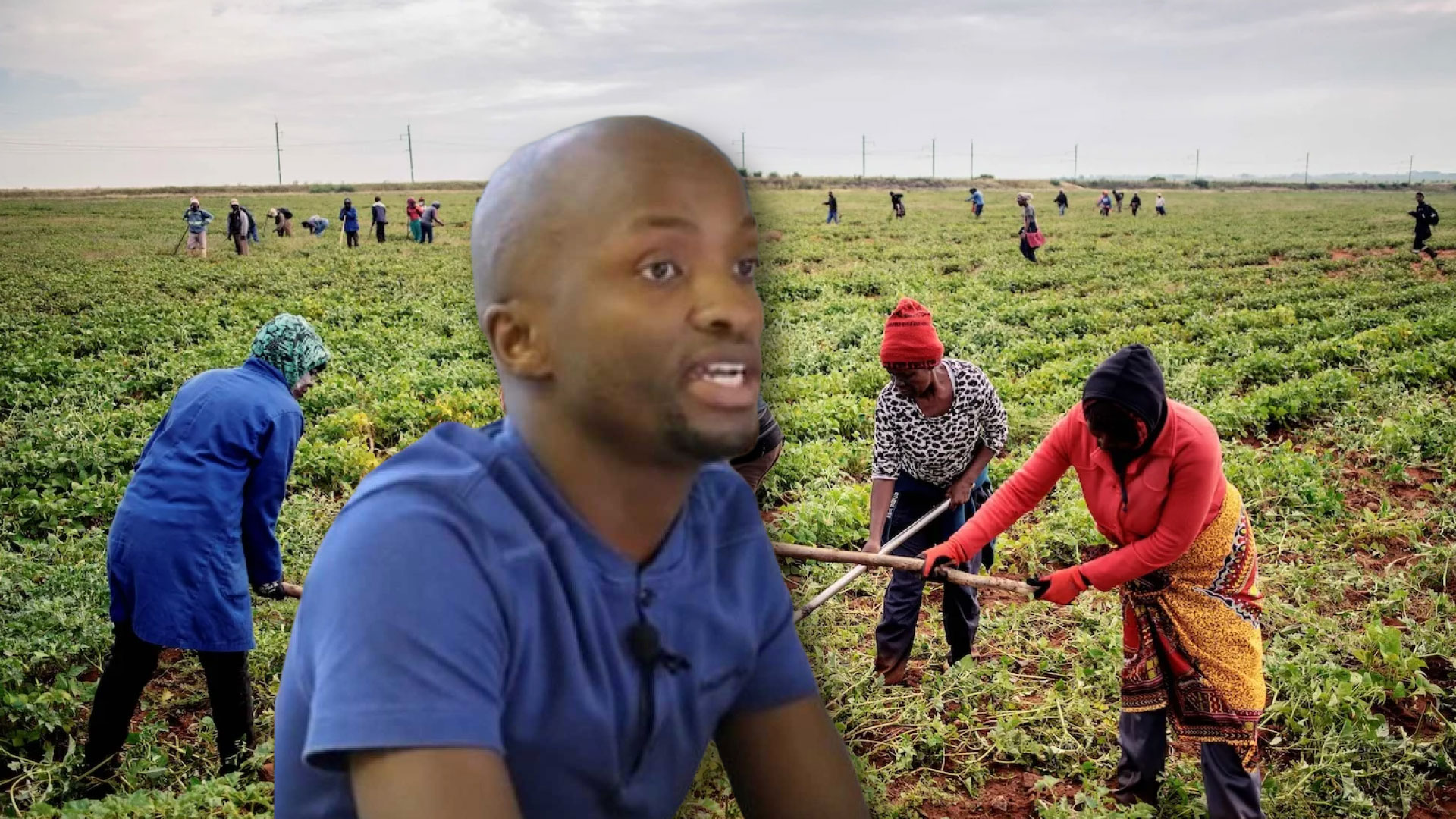 Four lessons from Colombia to fix South Africa’s land reform