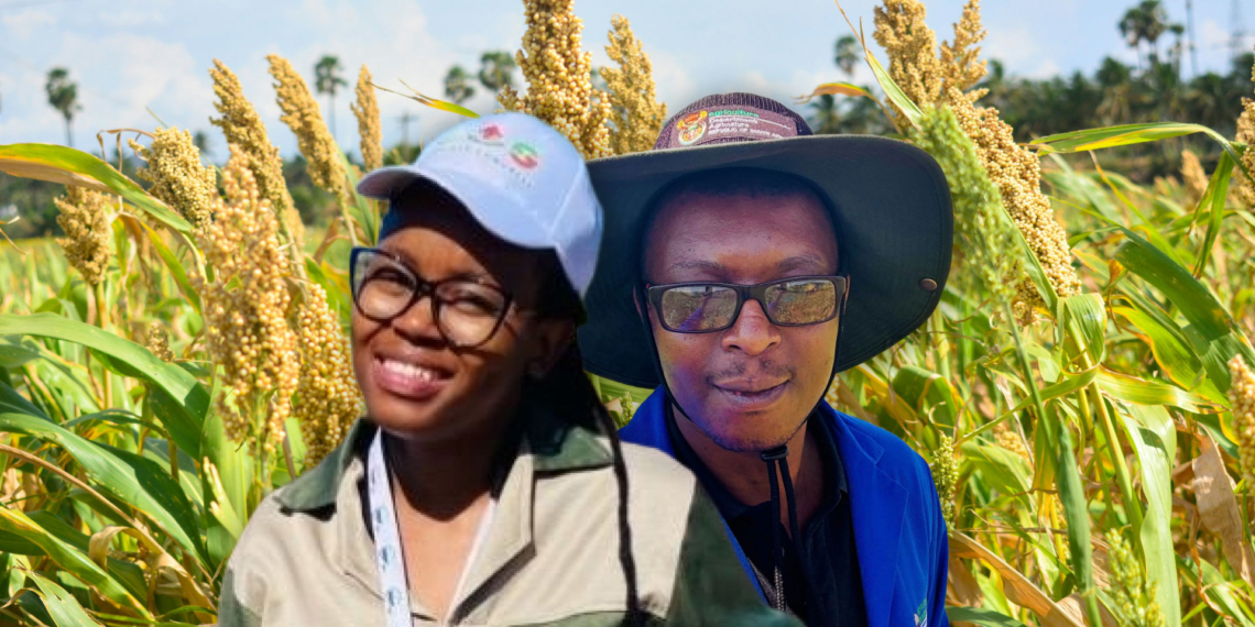 Dr Lehlogonolo Matelele and Nompumelelo Ngejane from the department of agriculture say sorghum, an ancient, drought-tolerant grain, is making a comeback. Photo: Gareth Davies/Food For Mzansi