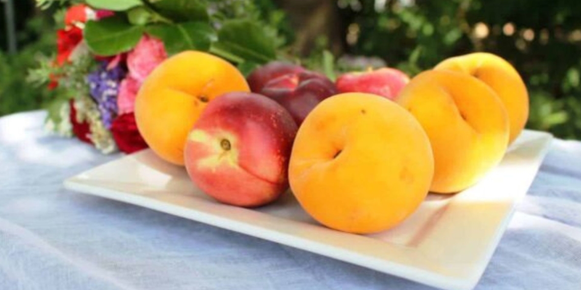 The Hortgro five-day symposium brings together local and international thought leaders, scientists, economists, policymakers, researchers, advisors, stakeholders and producers in the pome and stone fruit industry. Photo: Hortgro