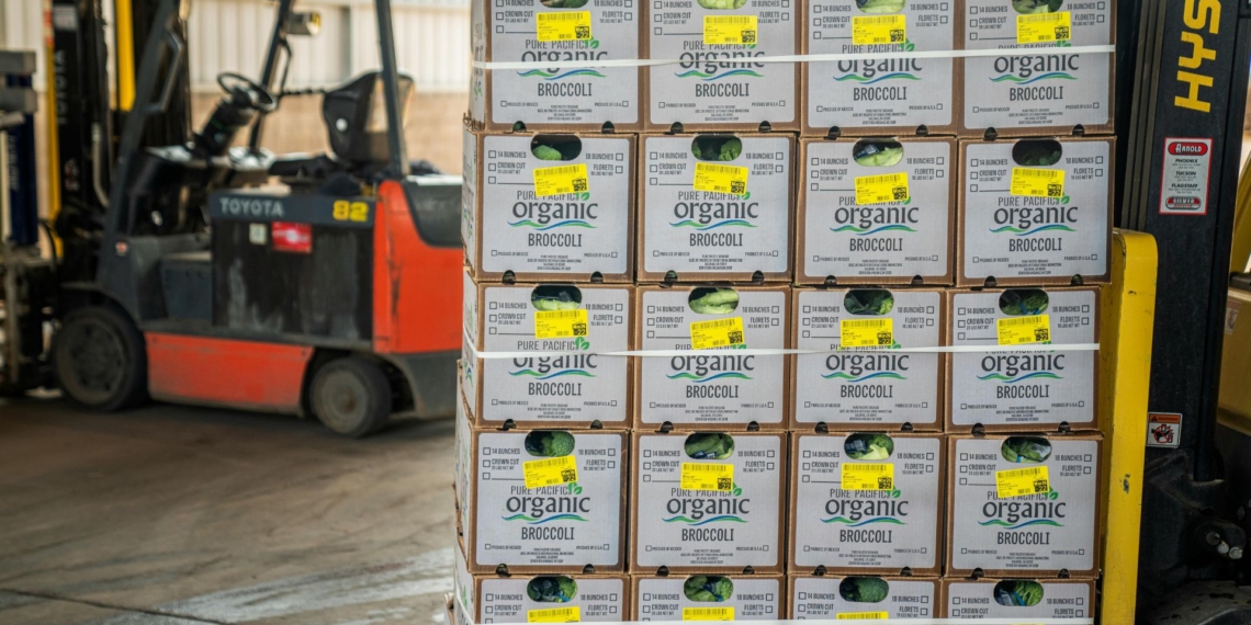 Experts from the PPECB highlighted that export readiness depends on strict cold chain management, with audits conducted across packhouses, cold rooms, depots and vessels to ensure temperature integrity and maintain the quality of South African produce throughout the export journey. Photo: Pexels