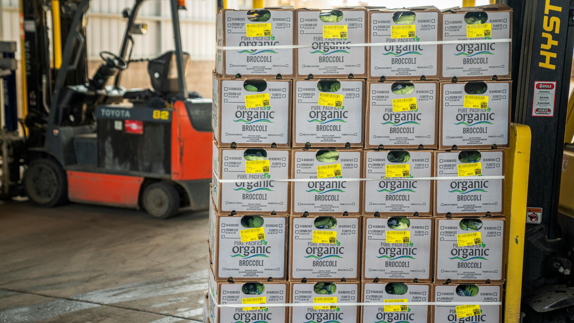 PPECB explains ‘passports’ to export success for SA farmers