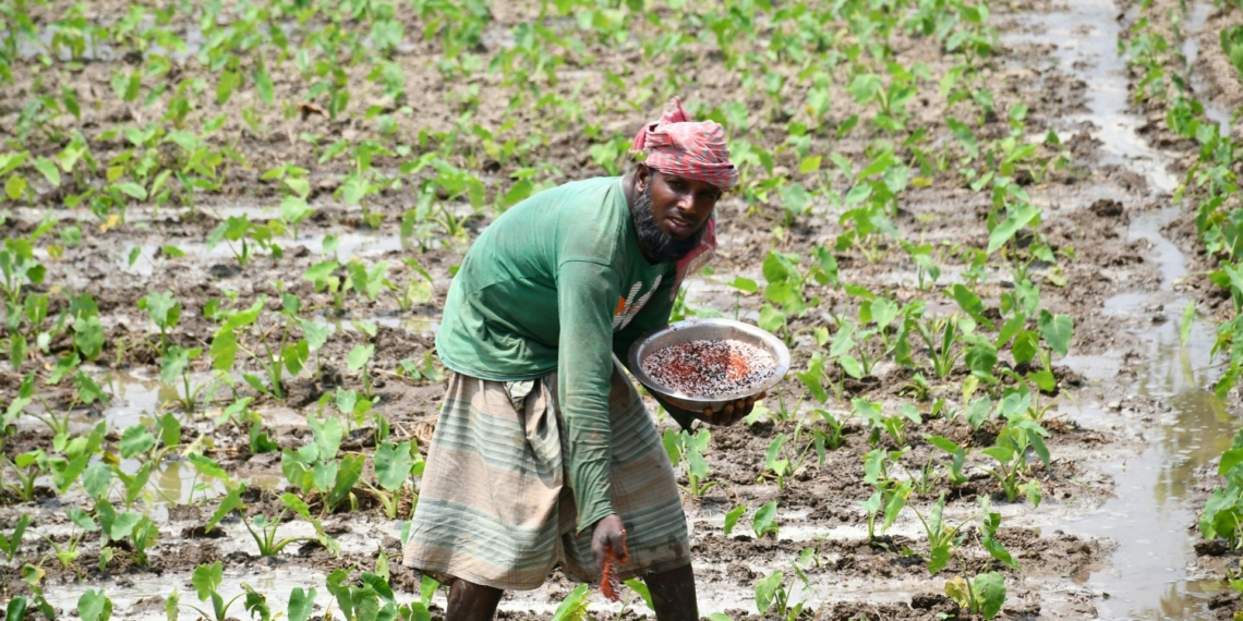 Global food supplies remain stable, but the 2026-27 planting season could determine future food security as El Niño, rising fertiliser costs and fuel prices threaten crop production worldwide. Photo: Pexels
