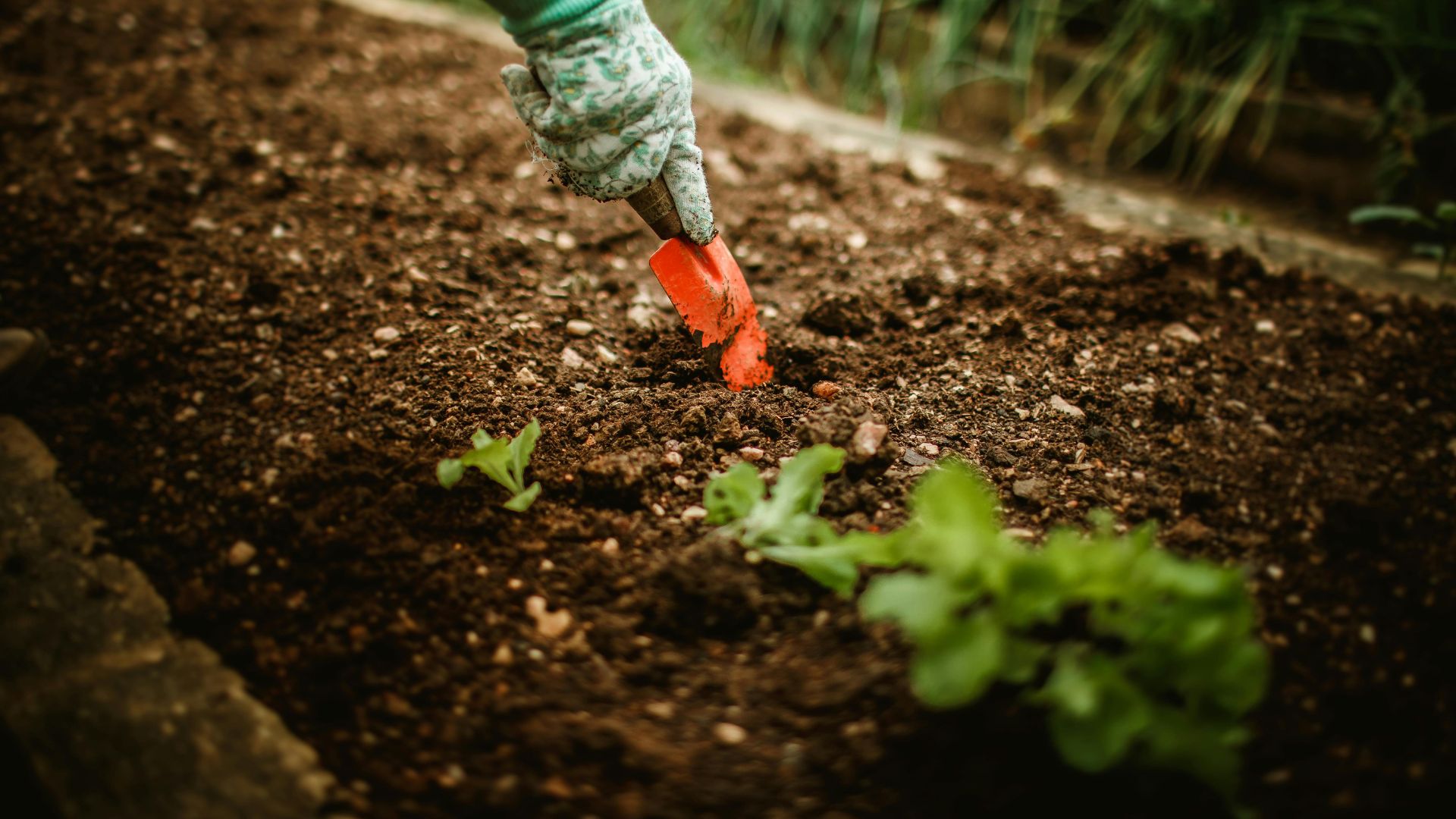 ‘Our power, our planet’: Farmers innovate to protect soil and water