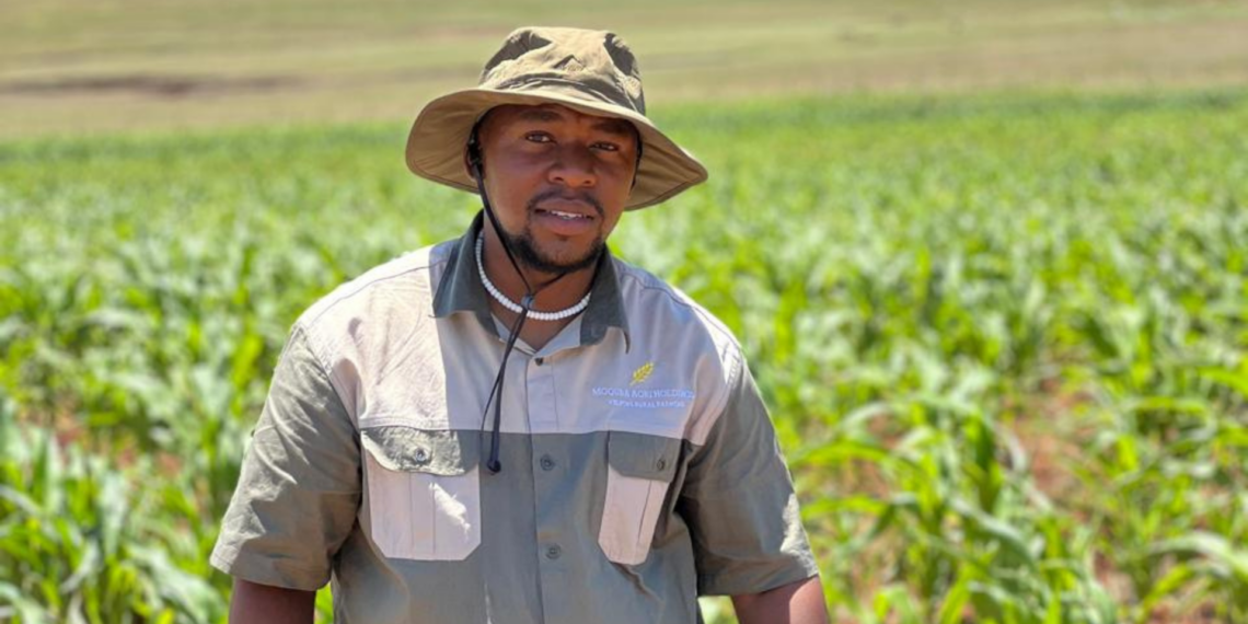 Aphiwe Poyo at the family farm in Engcobo, where he is reviving a generations-old farming legacy. Photo: Supplied/Food For Mzansi
