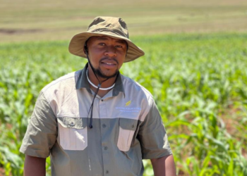 100 ha of hope: Aphiwe revives family farming legacy in Engcobo