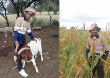 One goat sparked Sibonelo’s farming future in Vaalkop