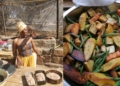 Fire meets flavour: Recipes and tips for a plant-based braai