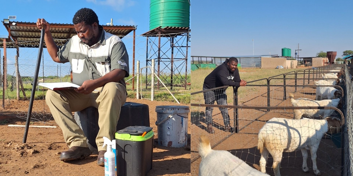 For Masixole Maswana, studying animal science was a natural step, growing up in a family devoted to farming and animal health. Photos: Supplied/Food For Mzansi